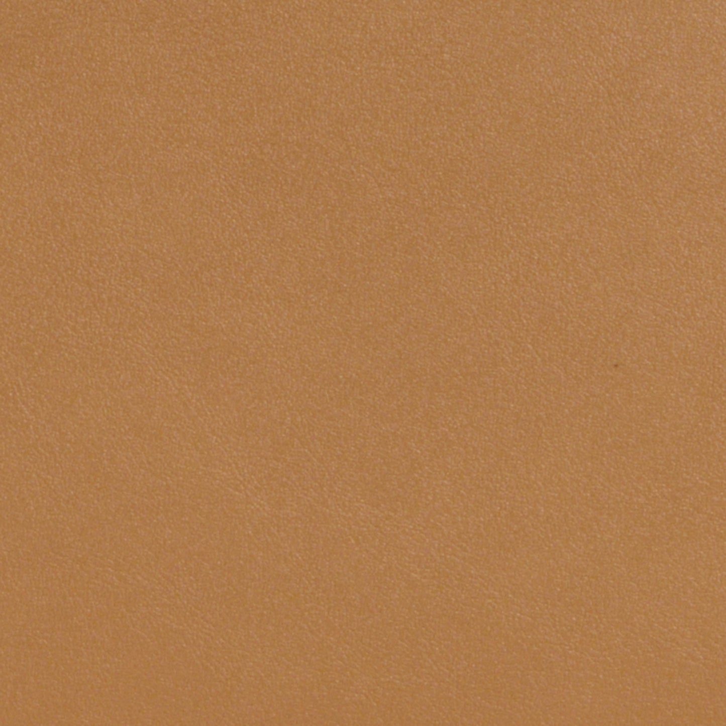 CARTERA NINE WEST CAMEL